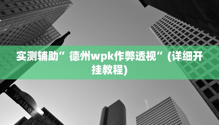 实测辅助”德州wpk作弊透视”(详细开挂教程)