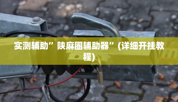 实测辅助”陕麻圈辅助器”(详细开挂教程)