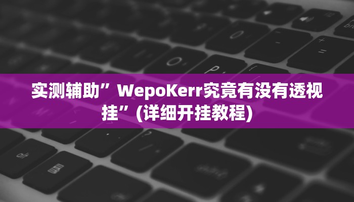 实测辅助”WepoKerr究竟有没有透视挂”(详细开挂教程)