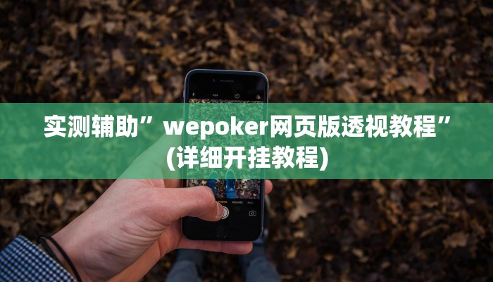 实测辅助”wepoker网页版透视教程”(详细开挂教程)