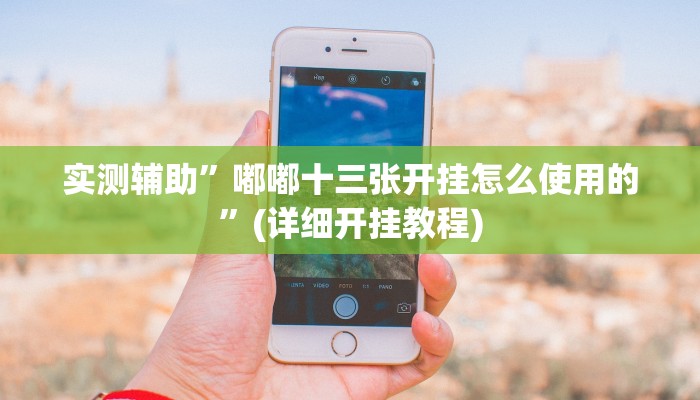 实测辅助”嘟嘟十三张开挂怎么使用的”(详细开挂教程)