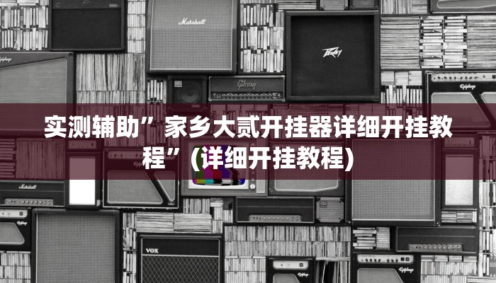 实测辅助”家乡大贰开挂器详细开挂教程”(详细开挂教程)