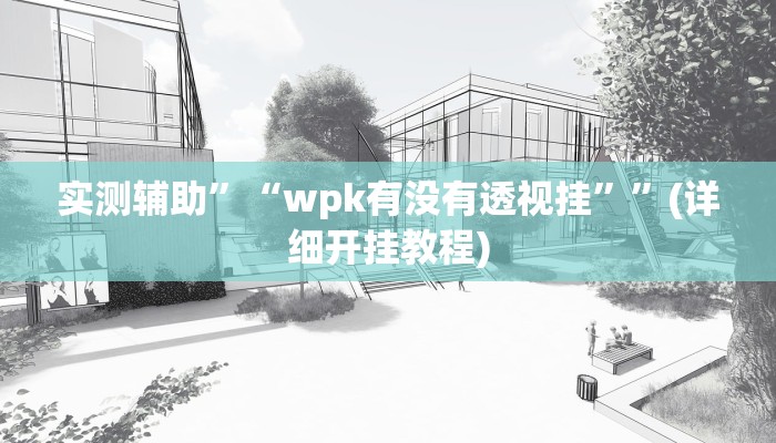 实测辅助”“wpk有没有透视挂””(详细开挂教程)