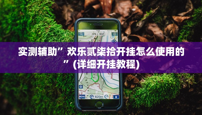 实测辅助”欢乐贰柒拾开挂怎么使用的”(详细开挂教程)