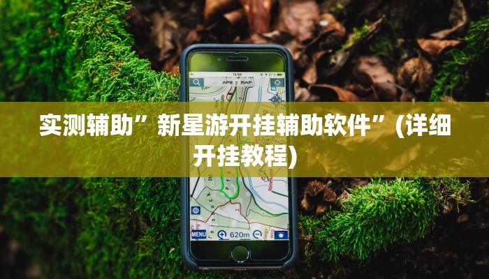 实测辅助”新星游开挂辅助软件”(详细开挂教程)