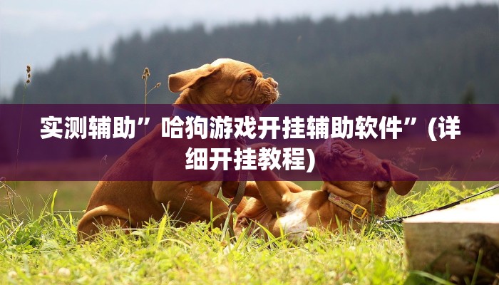 实测辅助”哈狗游戏开挂辅助软件”(详细开挂教程)