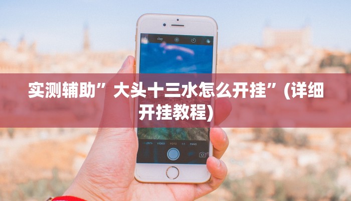 实测辅助”大头十三水怎么开挂”(详细开挂教程)
