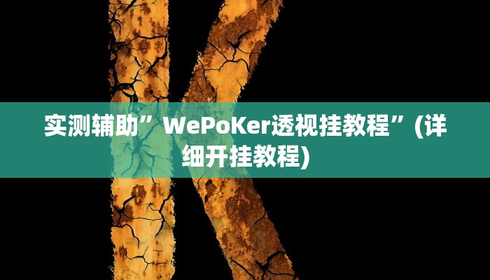 实测辅助”WePoKer透视挂教程”(详细开挂教程)