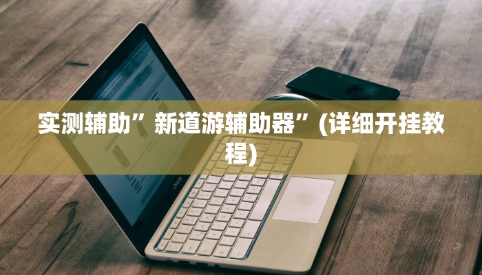 实测辅助”新道游辅助器”(详细开挂教程)