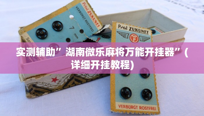 实测辅助”湖南微乐麻将万能开挂器”(详细开挂教程)