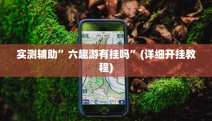 实测辅助”六趣游有挂吗”(详细开挂教程)