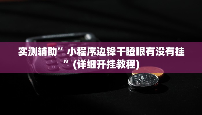 实测辅助”小程序边锋干瞪眼有没有挂”(详细开挂教程)