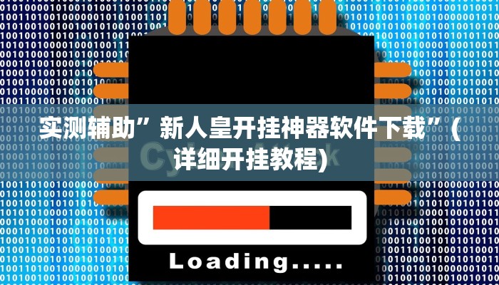 实测辅助”新人皇开挂神器软件下载”(详细开挂教程)