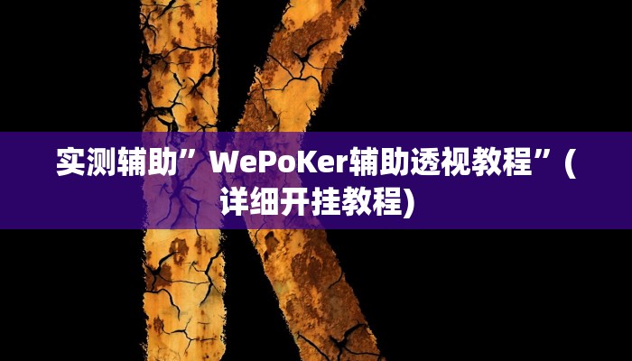 实测辅助”WePoKer辅助透视教程”(详细开挂教程)