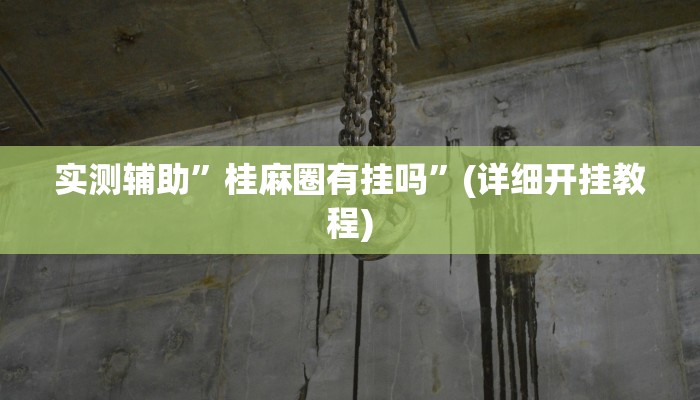 实测辅助”桂麻圈有挂吗”(详细开挂教程)