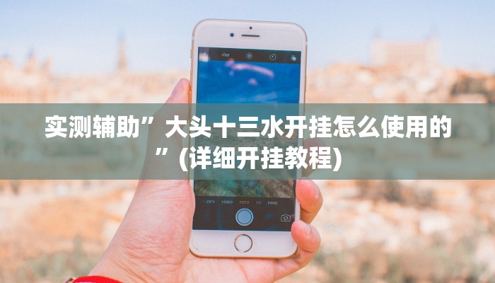 实测辅助”大头十三水开挂怎么使用的”(详细开挂教程)