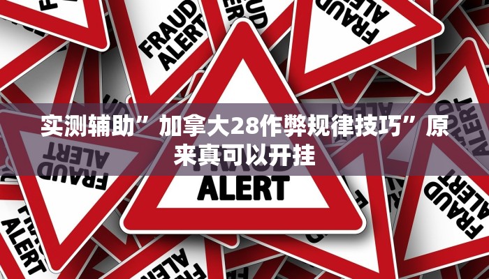 实测辅助”加拿大28作弊规律技巧”原来真可以开挂